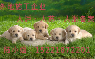 防水涂料进上海备案
