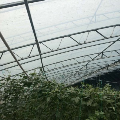 温室大棚双梁双膜骨架大棚专用设备几字钢骨架厂家批发供应