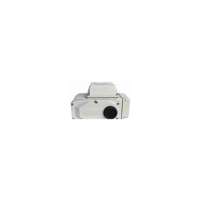 ZYS-60ZY电动执行器