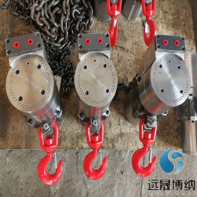 远晟博纳 环链气动葫芦10T 源头厂家 生产直销 安全可靠