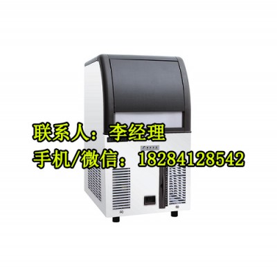 星崎制冰机厂家直销